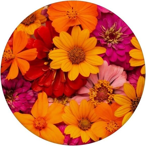Colorful Hand Draw Flowers on Violet Background Cute Pattern PopSockets PopGrip - Picture 3 of 3